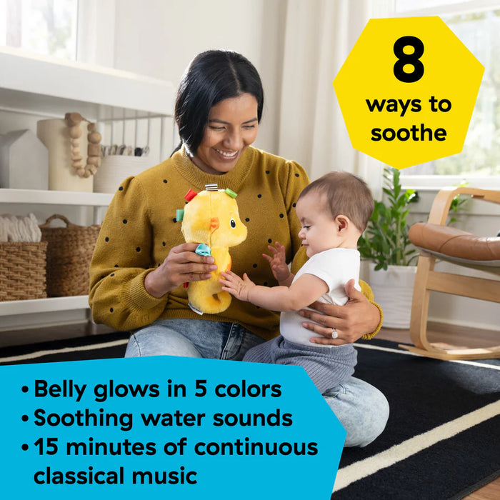 Baby Einstein Sea Dreams Seahorse Plush Soother Toy