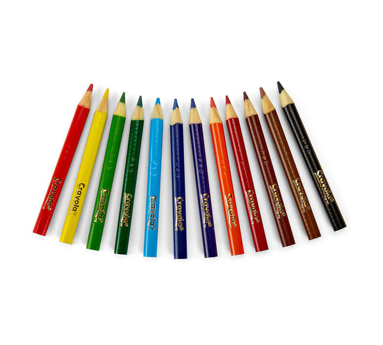 Crayola Short Colored Pencils 12 Count - Preggy Plus