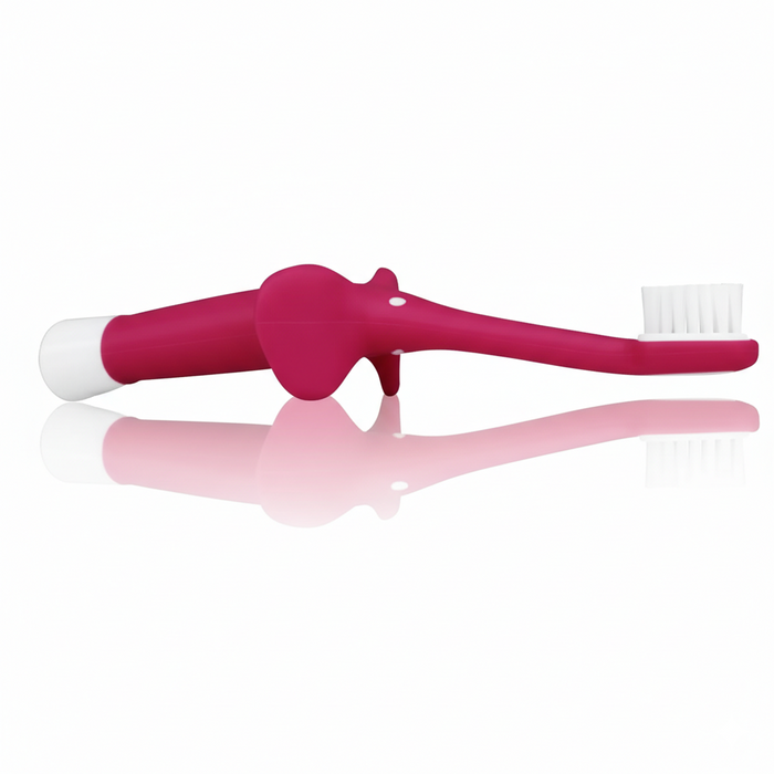 Dr. Brown's Infant-to-Toddler Training Toothbrush, Soft for Baby's First Teeth, Pink Elephant, 0-3 Years - Preggy Plus