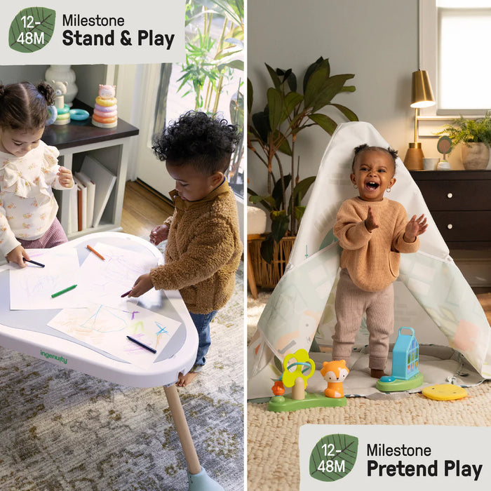 Ingenuity Tummy-to-Toes 6-in-1 Milestone Center