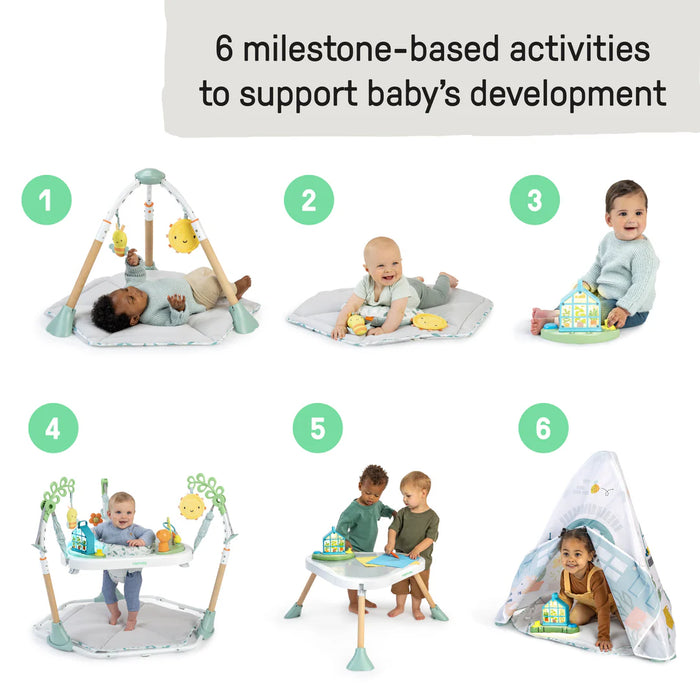 Ingenuity Tummy-to-Toes 6-in-1 Milestone Center