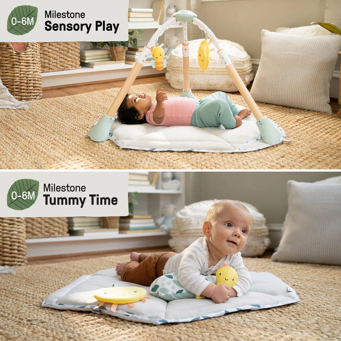 Ingenuity Tummy-to-Toes 6-in-1 Milestone Center