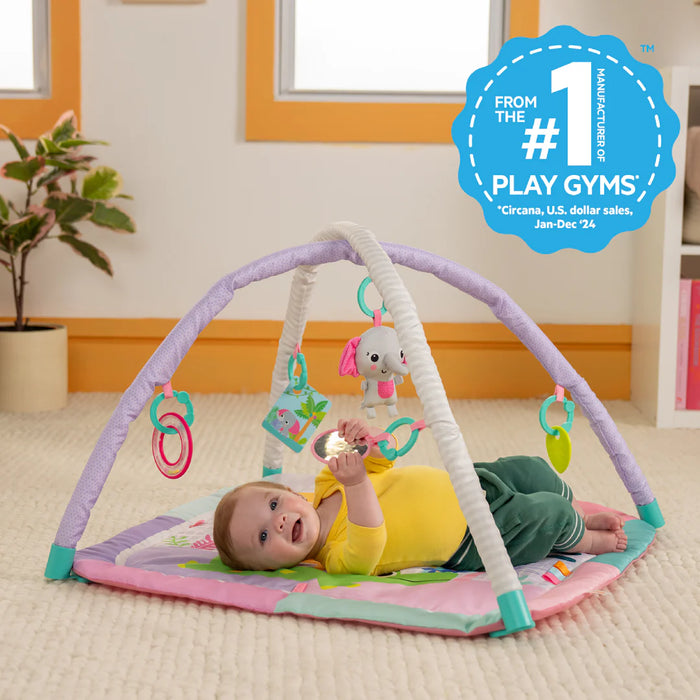 Bright Starts Wild Wiggles Sweet Safari FoldAway Activity Gym