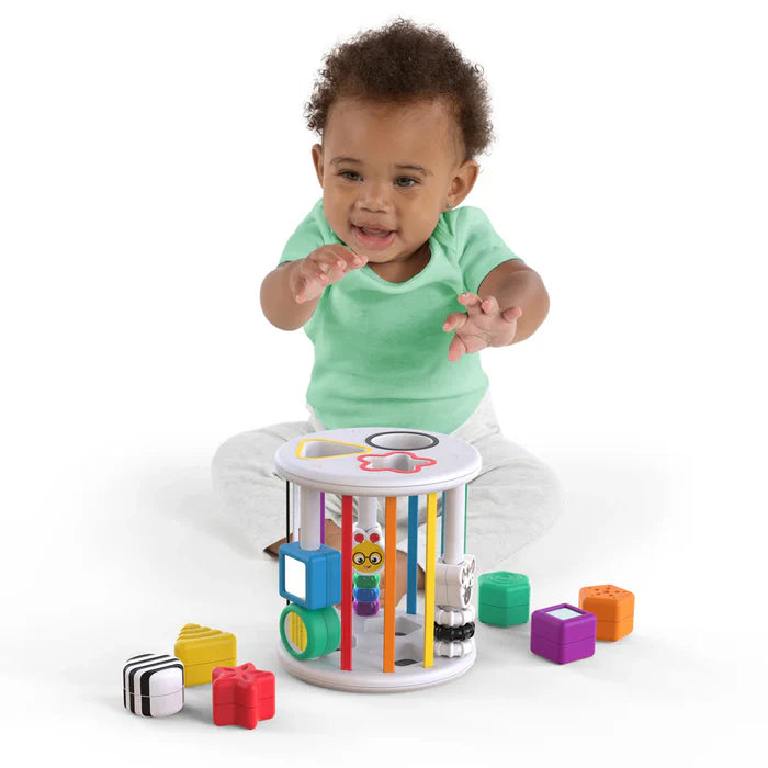 Baby Einstein Little Learners Bundle