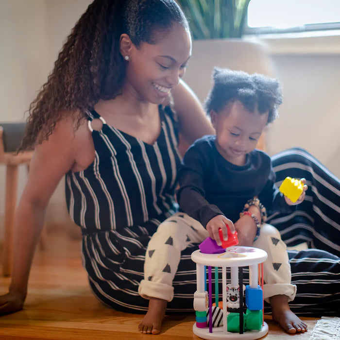 Baby Einstein Zen & Cal's Playground Sort & Discover Shapes Sensory Toy Set