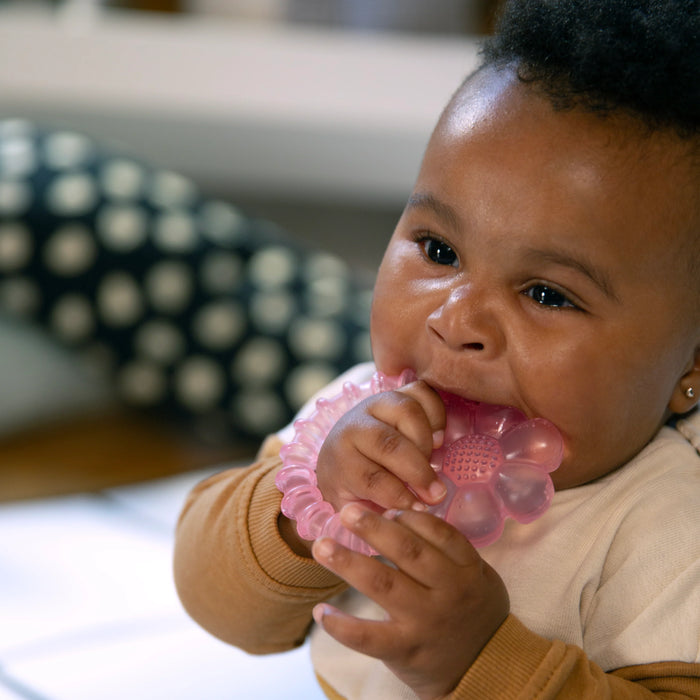 ity by Ingenuity Cool Bite Water Teether - Daisy