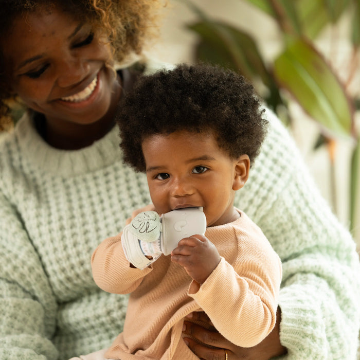 Ingenuity Van Teething Mitt & Rattle for Baby