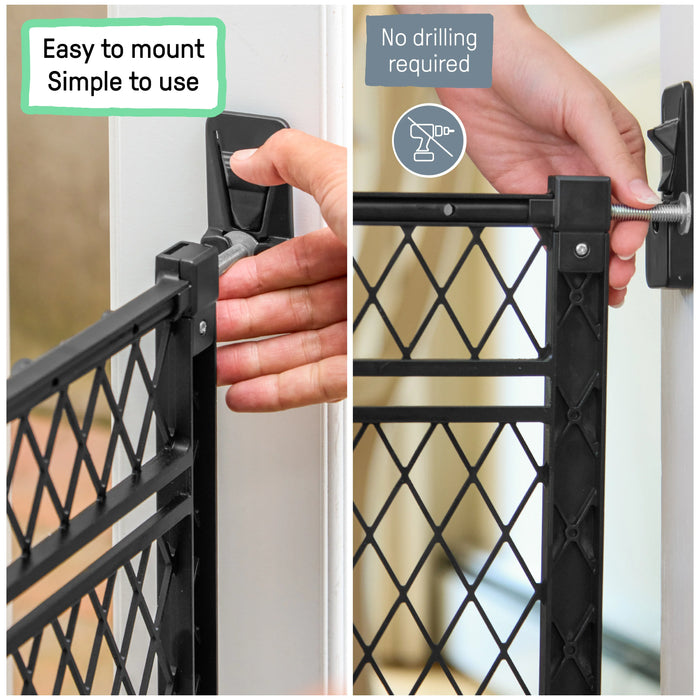 Ingenuity The Doorway 42W Series Baby and Dog Gate