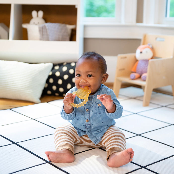 ity by Ingenuity Cool Bite Water Teether - Bomby