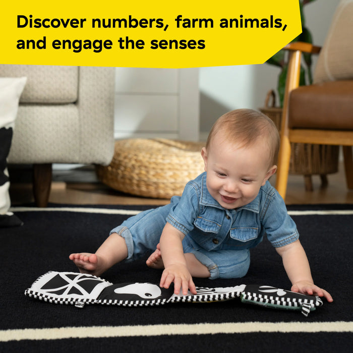 Baby Einstein Farm Explorers Counting at the Farm Soft Activity Book