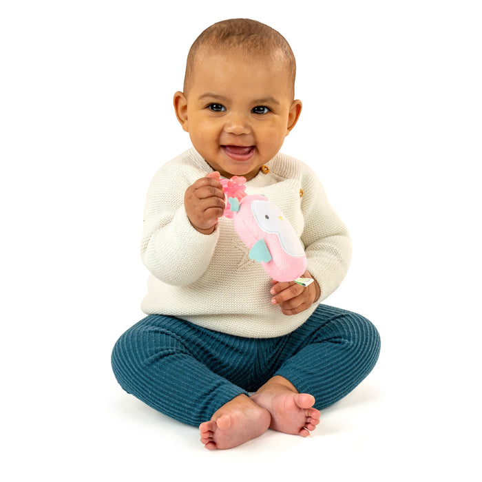 Ingenuity Pacifier Cozy Coo - Nally