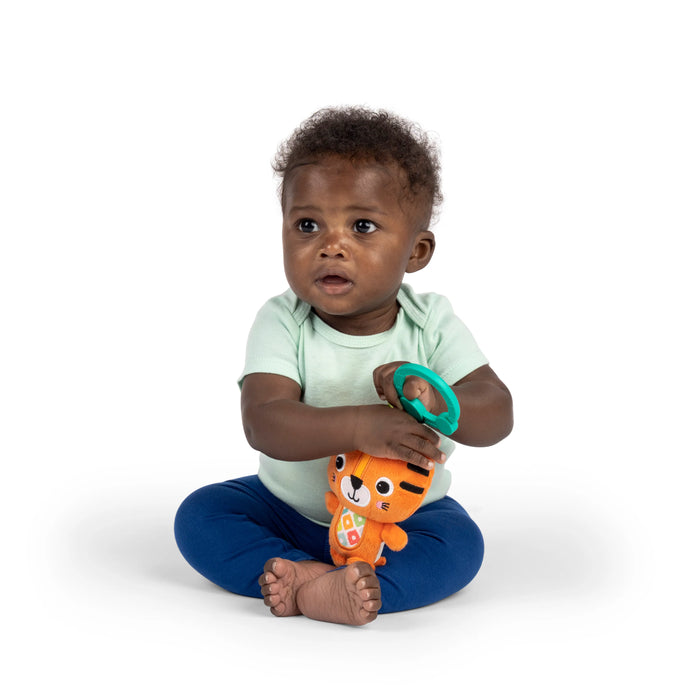 Bright Starts Jingle Joy Reach & Rattle Toy - Tiger