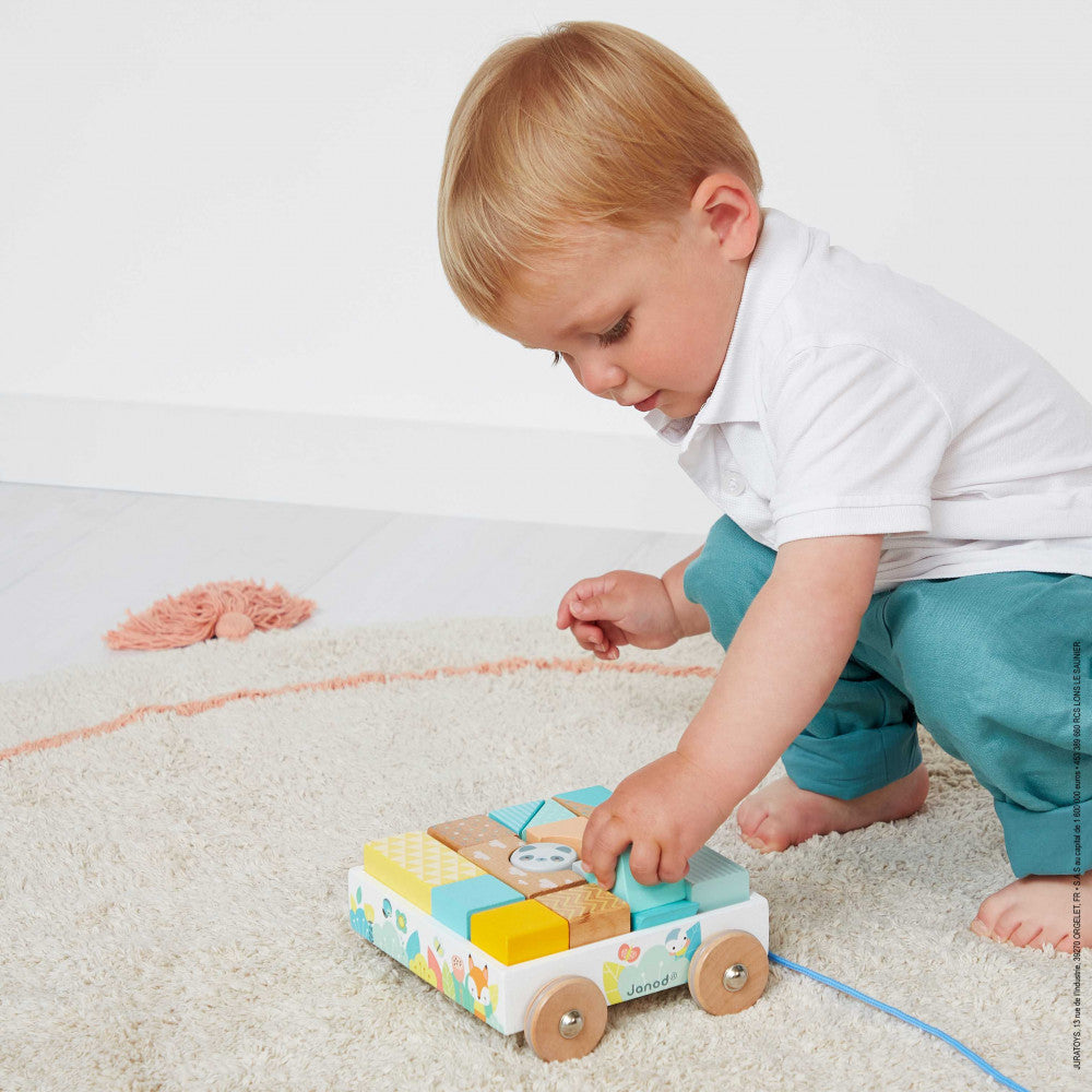 Janod Pure Pull-Along Blocks Cart (wood) — Preggy Plus