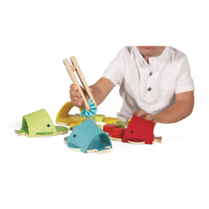 Janod Early Developmental Skills Bundle