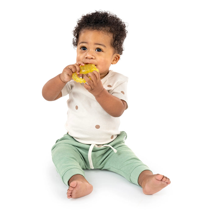 ity by Ingenuity Cool Bite Water Teether - Bomby