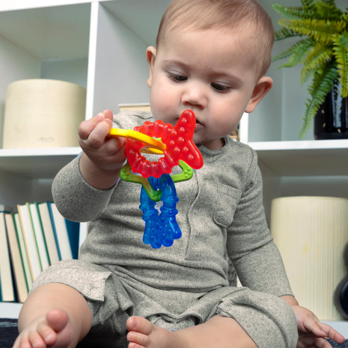 Baby Einstein Ocean Explorers Cool Critters Teether Toy Set