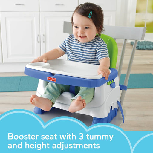 Fisher Price Healthy Care Deluxe Booster Seat (BMD93) - Preggy Plus