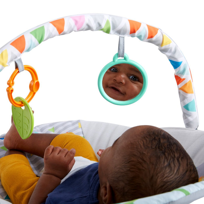 Bright Starts Safari Fun™ - Vibrating Bouncer (12204) - Preggy Plus