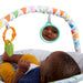 Bright Starts Safari Fun™ - Vibrating Bouncer (12204) - Preggy Plus