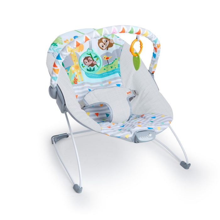 Bright Starts Safari Fun™ - Vibrating Bouncer (12204) - Preggy Plus