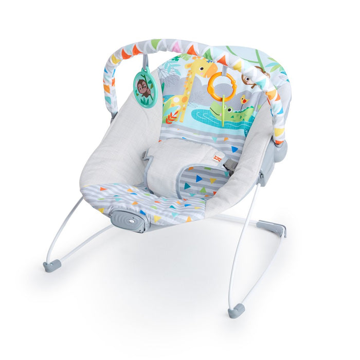 Bright Starts Safari Fun™ - Vibrating Bouncer (12204) - Preggy Plus